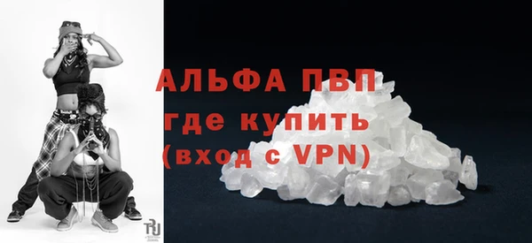 винт Лабытнанги