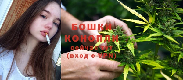 твердый Ладушкин