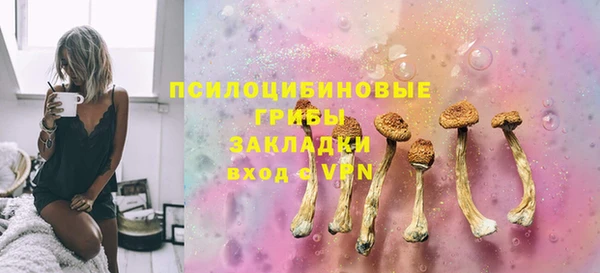 винт Лабытнанги