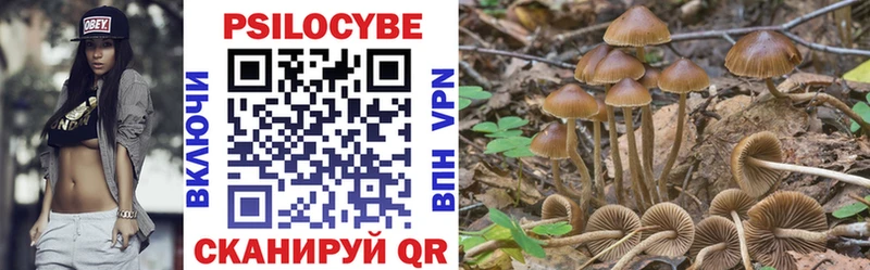 Псилоцибиновые грибы Psilocybine cubensis  Купить закладки  Ивангород 