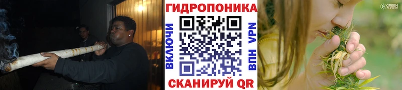 МАРИХУАНА тримм Ивангород